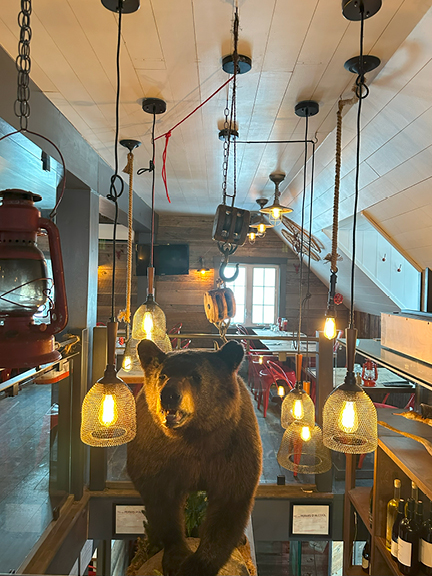 Travel to Mont Tremblant to see a taxidermy bear as the central art piece in a restaurant, displayed above the bar with hanging pendant lights.