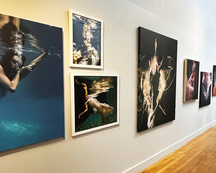 Fine art photography by Alyssa Fortin featured in a residential space, highlighted by a south shore interior decorator
