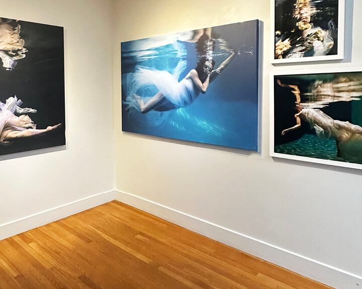Underwater photography by Alyssa Fortin on view at South Shore Art Center, featured by a south shore interior designer