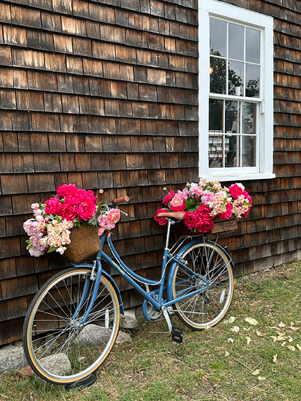 Peony farm in Norwell, Massachusetts, captured by a South Shore interior designer.