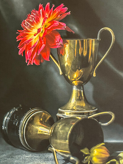 Curtis Speer photograph with black background, vintage trophies, and a bright red flower in South Shore art gallery