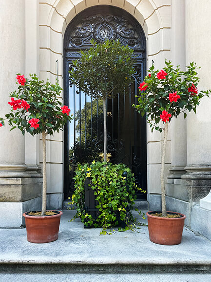 The Elms Newport Mansion arched entry with French doors, metal detailing, and a trio of topiaries at the French chateau inspired Newport estate.