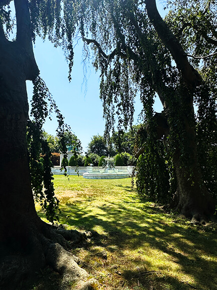 View from beneath the weeping beech tree toward the formal gardens at the rear of the historic Newport mansion.