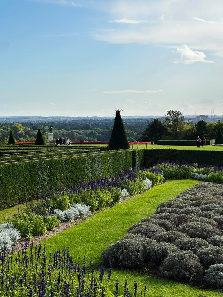 Historic English Estate Design highlighted by rows of English lavender blooming in the classic gardens at Cliveden House.