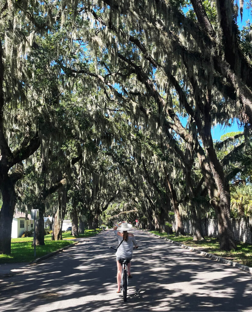 Sarah Scales riding a bike down a road lined with mature oak trees draped in Spanish moss, capturing the essence of Southern charm.