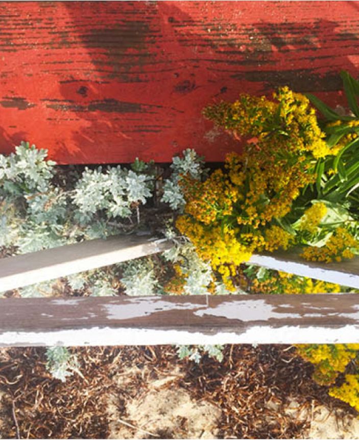 Faded and peeling paint at a lighthouse entry, featuring Nantucket red with natural white and yellow accents, a color palette perfect for New England design.