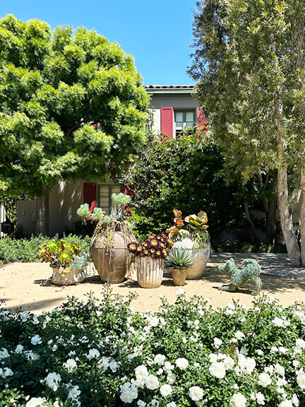 Mediterranean Revival architecture in Los Angeles with soft white stucco, flowering vines, and classic green planters near the entry.